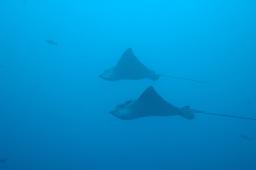 dsc_8618.jpg