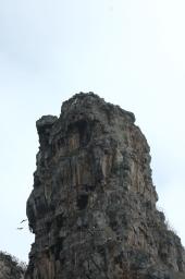 dsc_8692.jpg