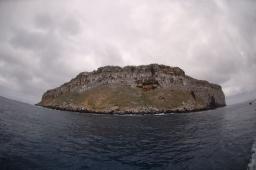 dsc_8763.jpg