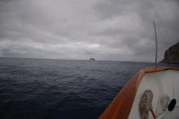dsc_8764.jpg