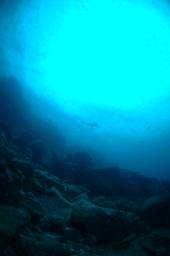 dsc_8773.jpg