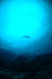 dsc_8775.jpg