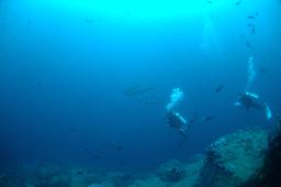 dsc_8783.jpg