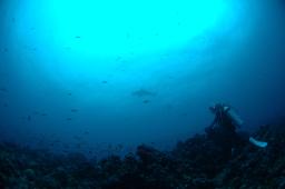 dsc_8790.jpg