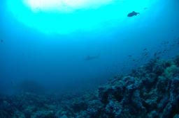 dsc_8791.jpg