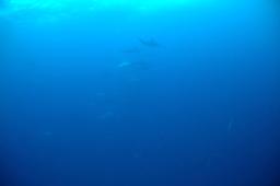 dsc_8792.jpg