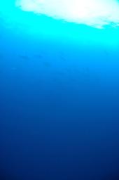 dsc_8795.jpg
