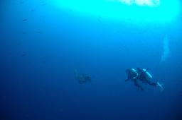 dsc_8813.jpg