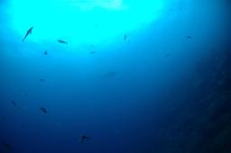 dsc_8814.jpg