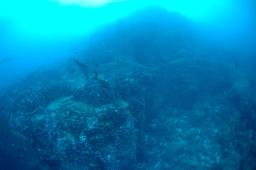 dsc_8818.jpg
