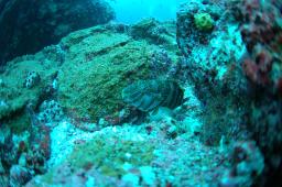dsc_8820.jpg