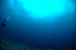 dsc_8822.jpg