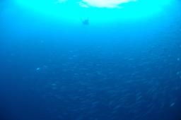 dsc_8824.jpg
