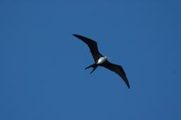 dsc_8894.jpg