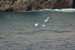 dsc_8907.jpg