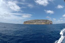 dsc_8966.jpg