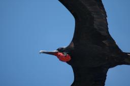 dsc_9000.jpg