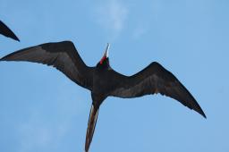 dsc_9002.jpg