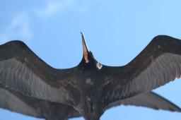 dsc_9004.jpg