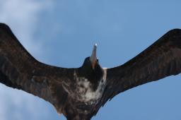dsc_9006.jpg