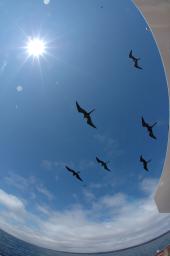 dsc_9015.jpg