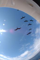 dsc_9017.jpg