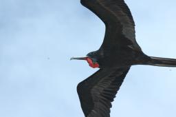 dsc_9040.jpg