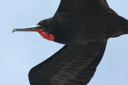 dsc_9044.jpg