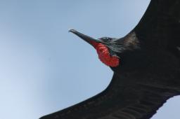 dsc_9046.jpg