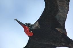 dsc_9047.jpg