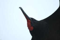 dsc_9050.jpg