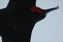 dsc_9054.jpg
