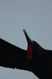 dsc_9058.jpg