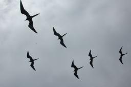 dsc_9062.jpg