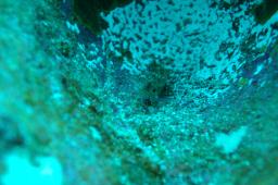 dsc_9074.jpg