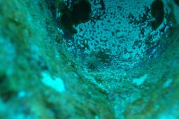dsc_9075.jpg