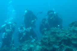 dsc_9077.jpg