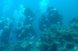 dsc_9078.jpg