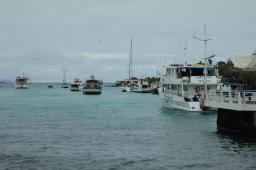 dsc_9083.jpg