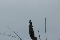dsc_9127.jpg