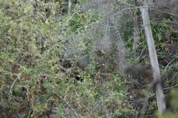 dsc_9138.jpg