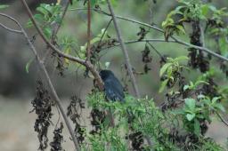dsc_9141.jpg