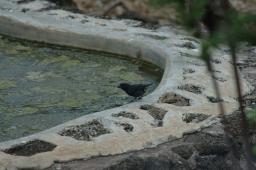 dsc_9143.jpg