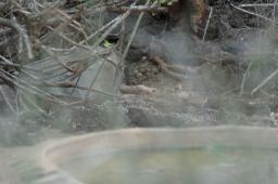 dsc_9144.jpg