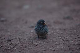 dsc_9163.jpg