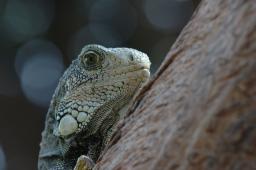 dsc_9185.jpg