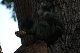dsc_9188.jpg
