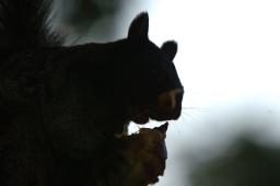 dsc_9189.jpg