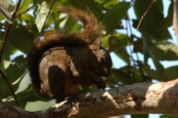 dsc_9192.jpg