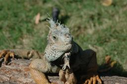 dsc_9194.jpg
